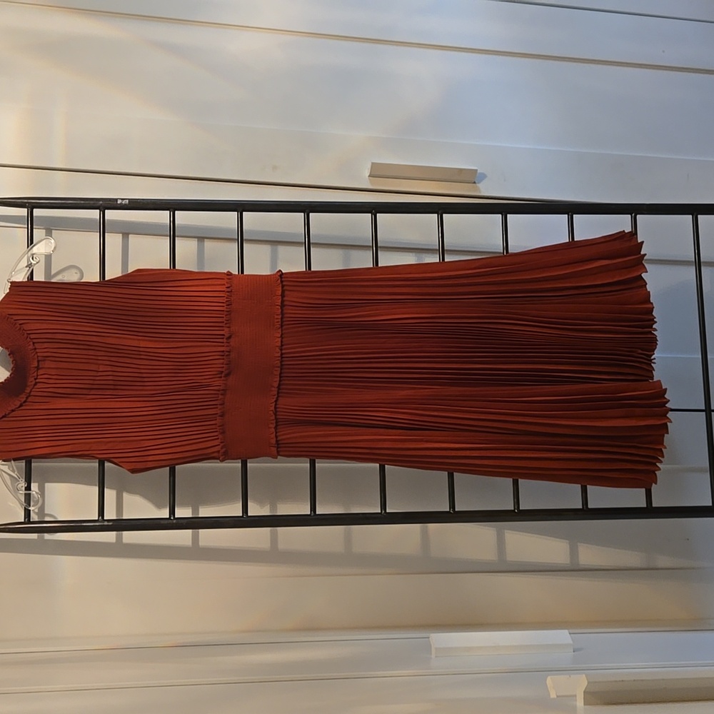 Rust color pleated dress worn once